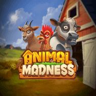 animal-madness.png
